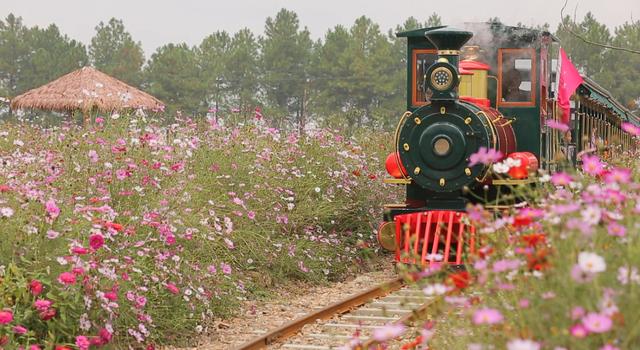 金华有什么好玩的地方旅游景点