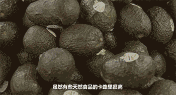 外星伴侣歌词什么意思