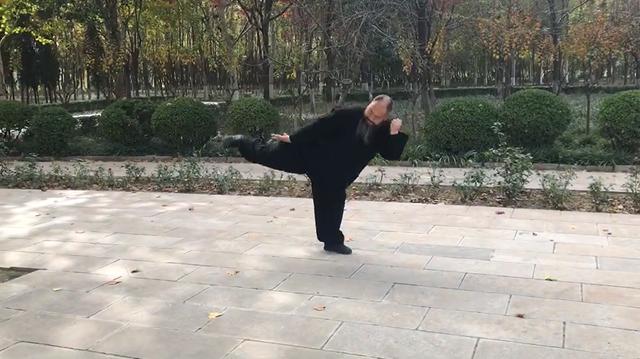 苌家拳