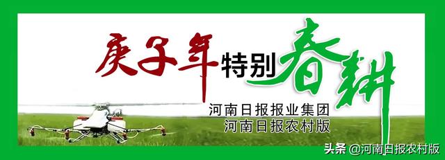 包含许昌铸铁压滤机的词条