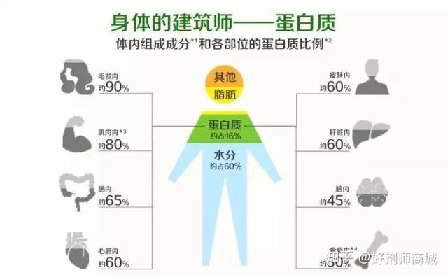 好剂师丨身体出现这几个迹象说明你缺蛋白质了！快补起来