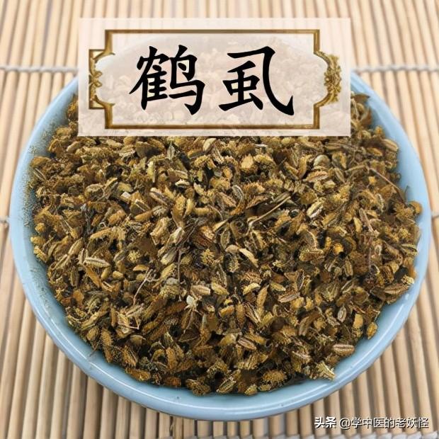 每天学习一味中药——鹤虱