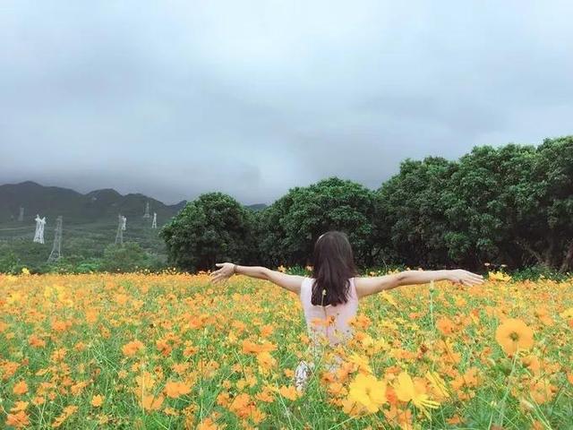 八月，逝去。九月，开始