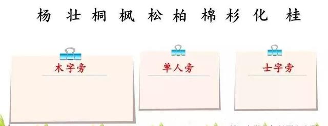 银杏水杉活化石是什么意思