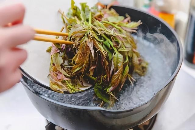 香椿芽怎么腌制好吃