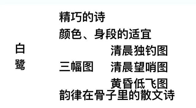 白鹭的资料（白鹭的资料个人资料）