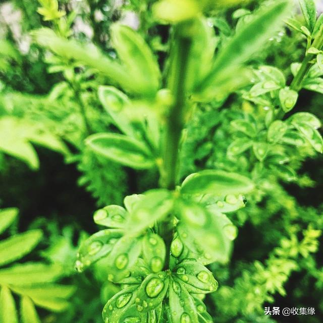 梦到绣花是什么意思