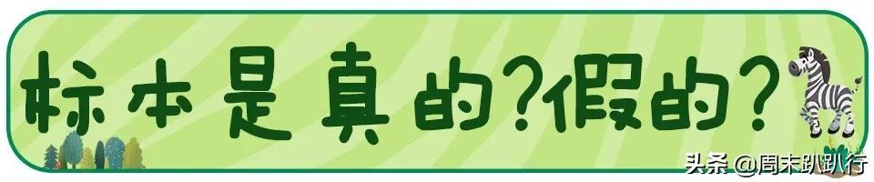 亲子打卡！科学探索，细菌好有趣啊，参观1000+件标本