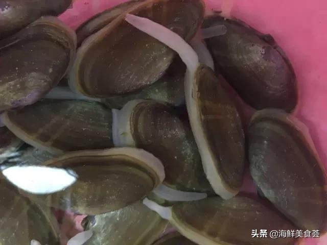 海鲜种类