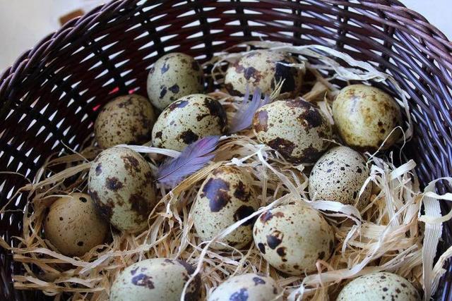 比鸡蛋更养人！经常吃点，记性好了、视力强了、免疫力更足