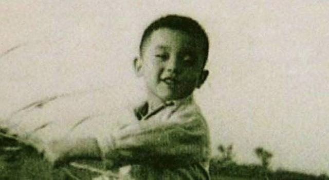 葛优老婆个人资料简介（葛优妻子贺聪年龄多大）