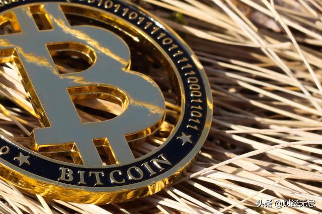 比特币储存领域的比特币(比特币储存领域的比特币是什么)