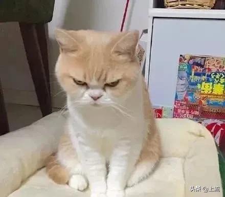 汗毛长不出来成了鸡皮肤