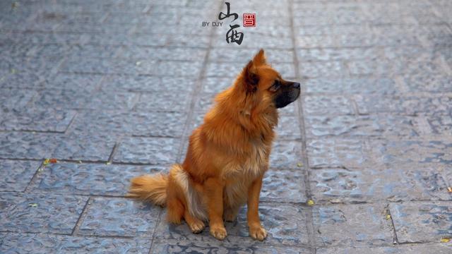 一夫当关万夫莫开的意思