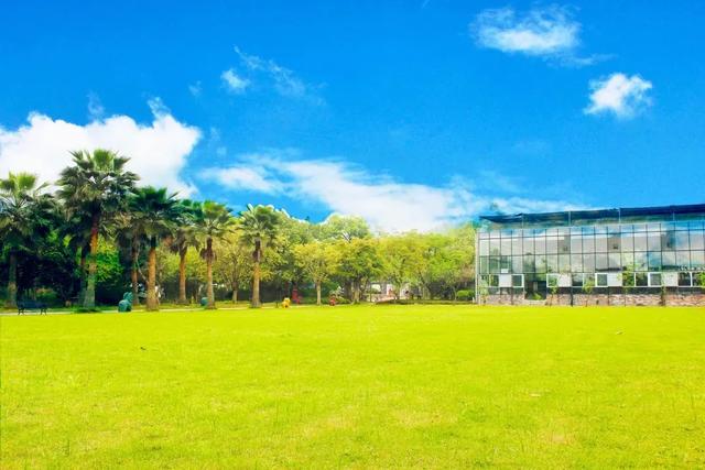 公園定向團建