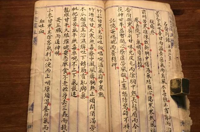 现代药理学及古中医对巴戟天的认识