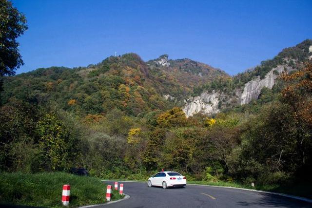 寻访秦岭苦竹沟，灌满浆汁的烂红野果和山货挂满枝头，都无人采摘5