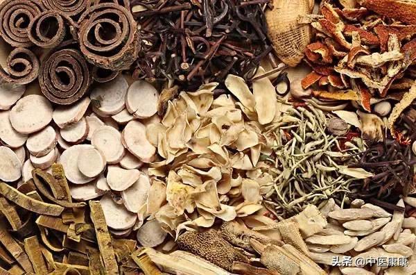 治疗“痹症”的引经药有哪些？