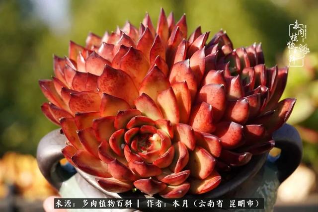 安康石英砂洗砂机厂家电话
