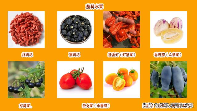 水果有哪些 水果有哪些（水果有哪些形状） 生活