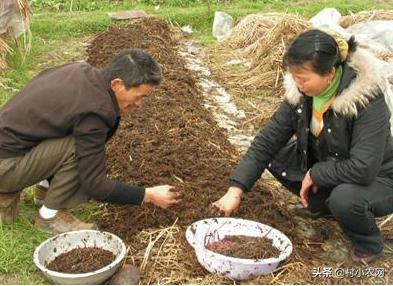 农村创业项目推荐，藏在农村的12个创业项目，看着不起眼，做好了不打工就能娶媳妇