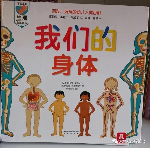 我从哪里来……