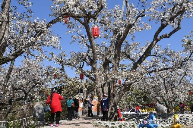 兰州景点排行榜前十名(兰州适合情侣玩的地方)
