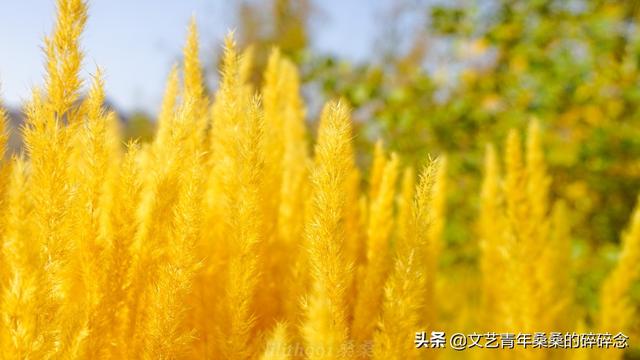 张掖过滤机