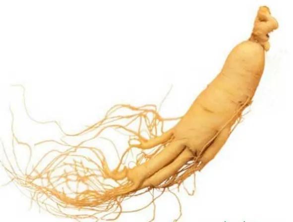 如何＂药食＂协同微无创整体整合治疗--“万箭齐发”防治肿瘤？