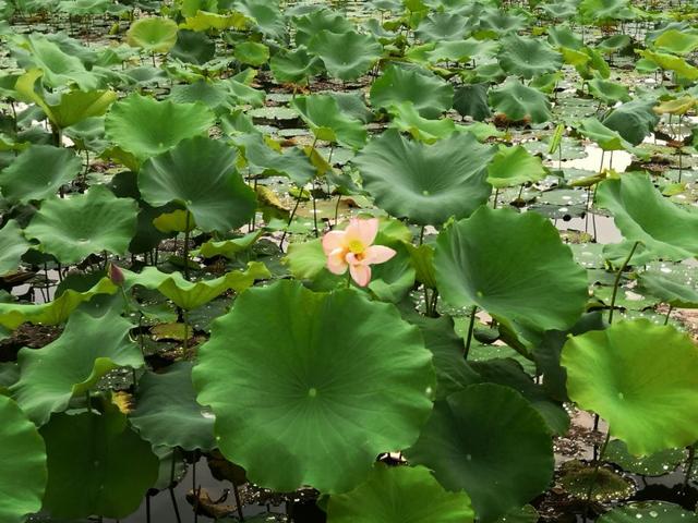 请一定善待自己的孩子