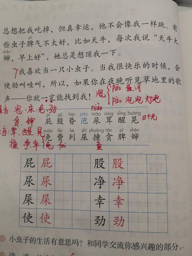 婶组词，小学二年级下册11课我是一只小虫子？