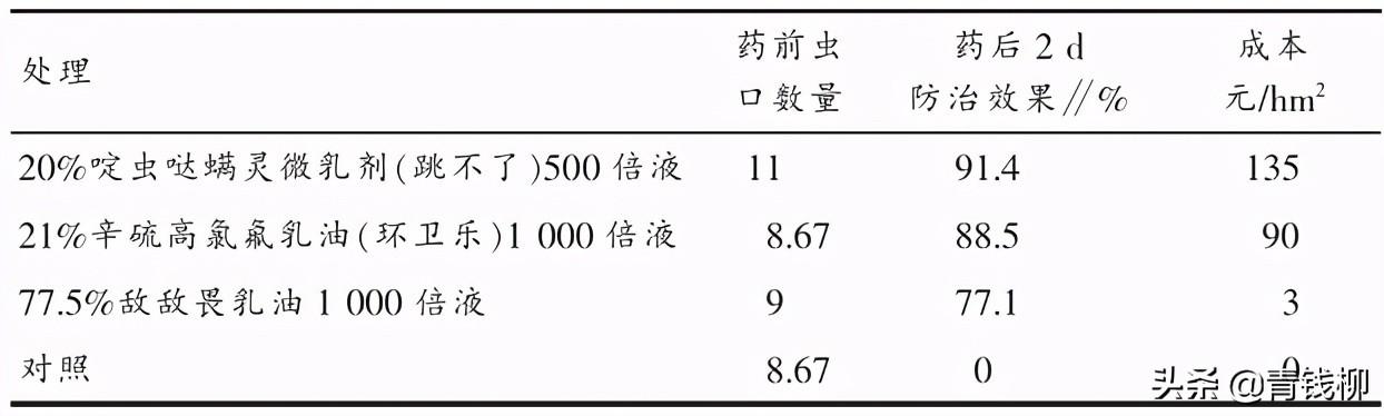 基金项目：浙江切花菊天牛的发生危害与防治2