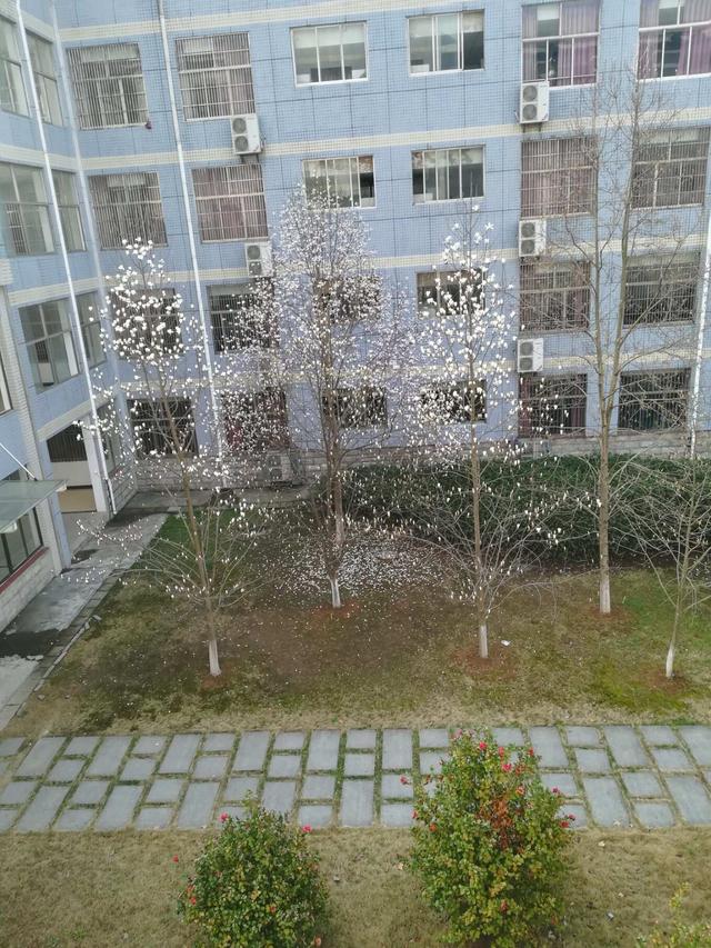 武汉工程大学桂展鹏教学
