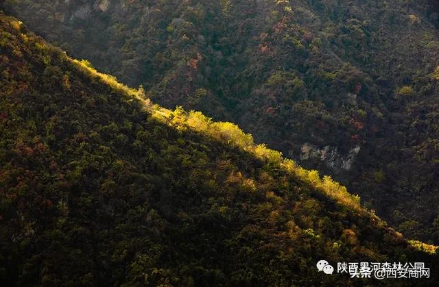 陕西黑河森林公园