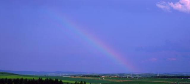 临汾全文人工翻译(临汾能做核酸英文翻译)