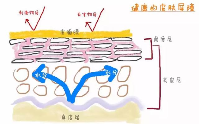 适乐肤身体乳是哪里产地