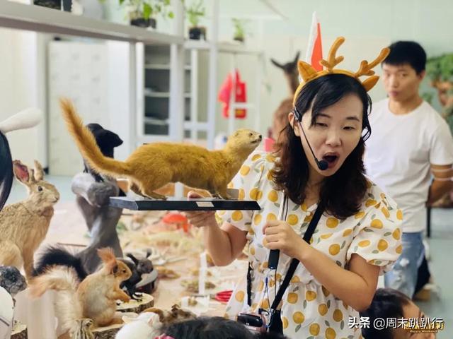 亲子打卡！科学探索，细菌好有趣啊，参观1000+件标本