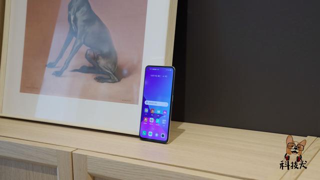 「科技犬」双11值得买直屏手机盘点：荣耀真我红米OV，六款可选