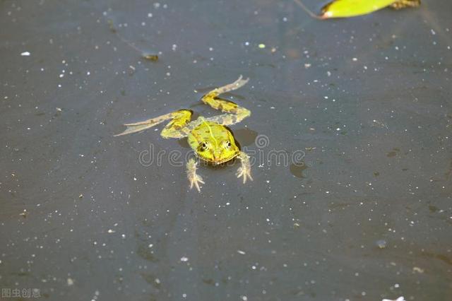 关于天气的农谚语有哪些（老祖宗预测天气的谚语）