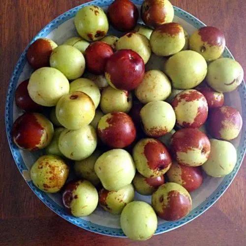 明日白露，应季“6宝”别忘吃，应季而吃，比大鱼大肉还健康