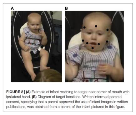 俏管家，为什么宝宝爱打妈妈的脸背后藏着你不知道的婴幼儿心理学