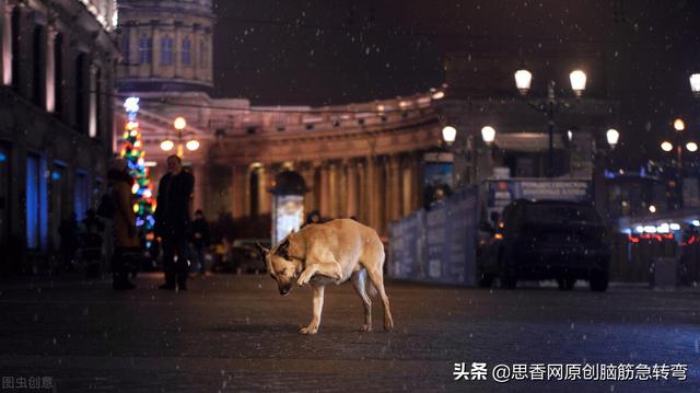 生根不落地