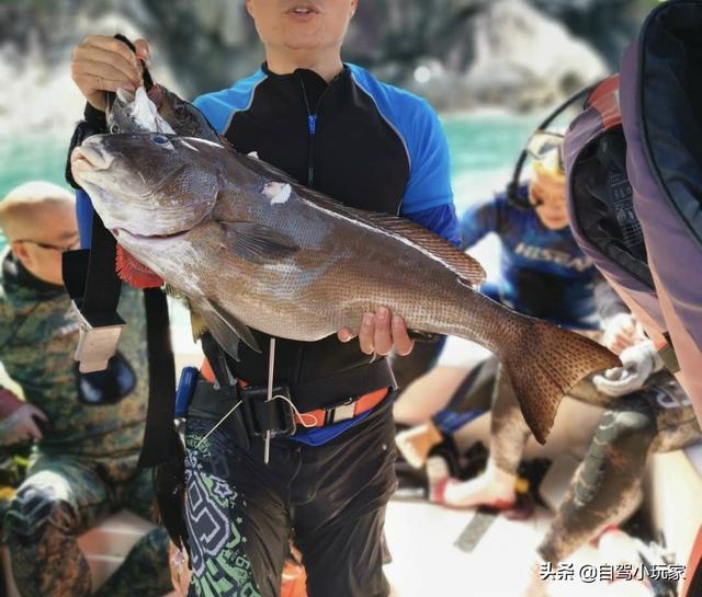 深圳竟还藏着一个“野沙滩”，开车直达，很少有人来，停车还免费