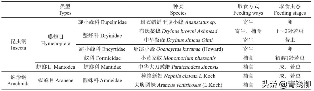 基金项目：斑衣蜡蝉在葡萄上的危害及防治措施