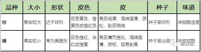 17个热门柑橘品种介绍！(优缺点、上市时间、适种区域）3