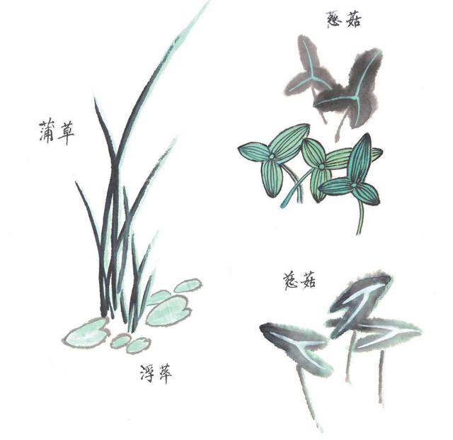 怎么样画荷花(怎么样画荷花又简单又好看)-天晟网