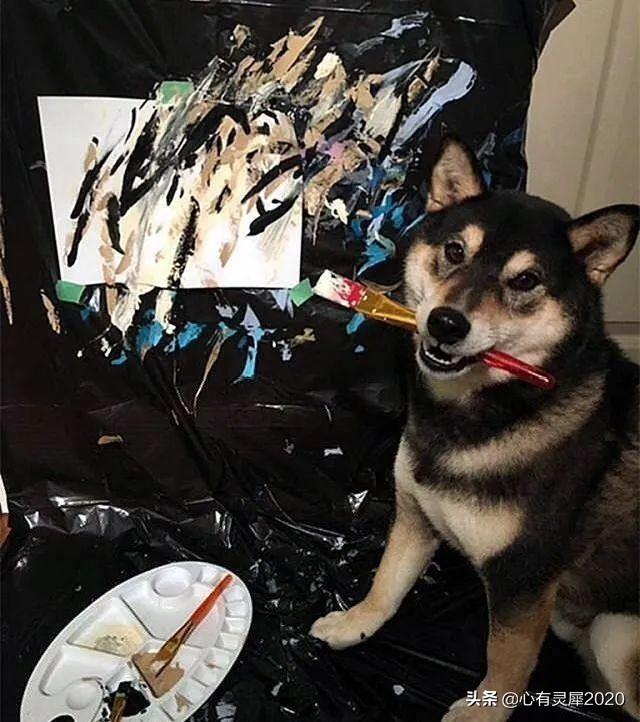 人狗狗