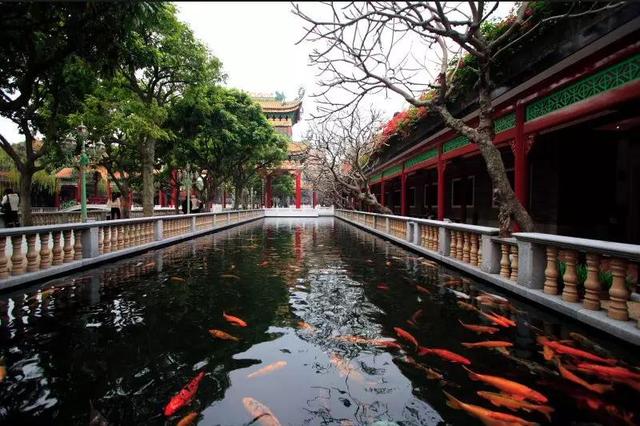 贵港转鼓式真空过滤机