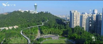 镇海石化建安工程公司郑展峰