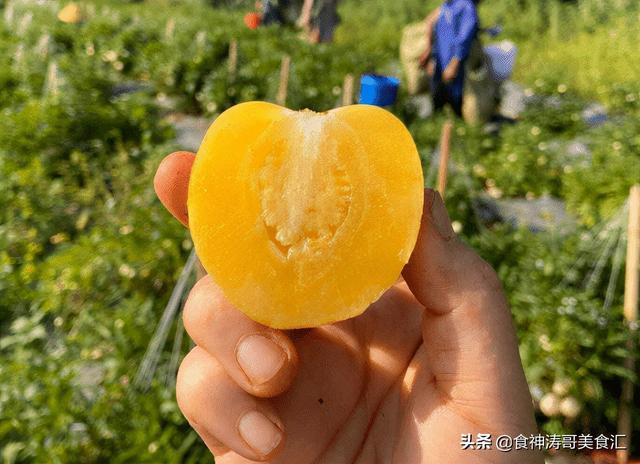 南方的水果